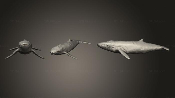 Animal figurines (Whale, STKJ_2571) 3D models for cnc